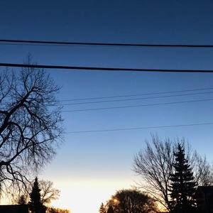 Meet your Posher, Fiona